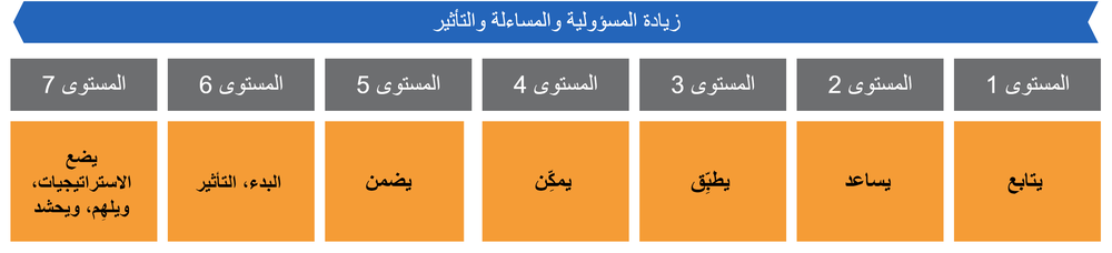 Diagram of horizontal view of levels of responsibility