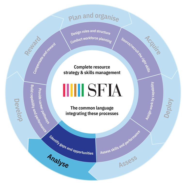 SFIA-Process-Wheel-analyse.png