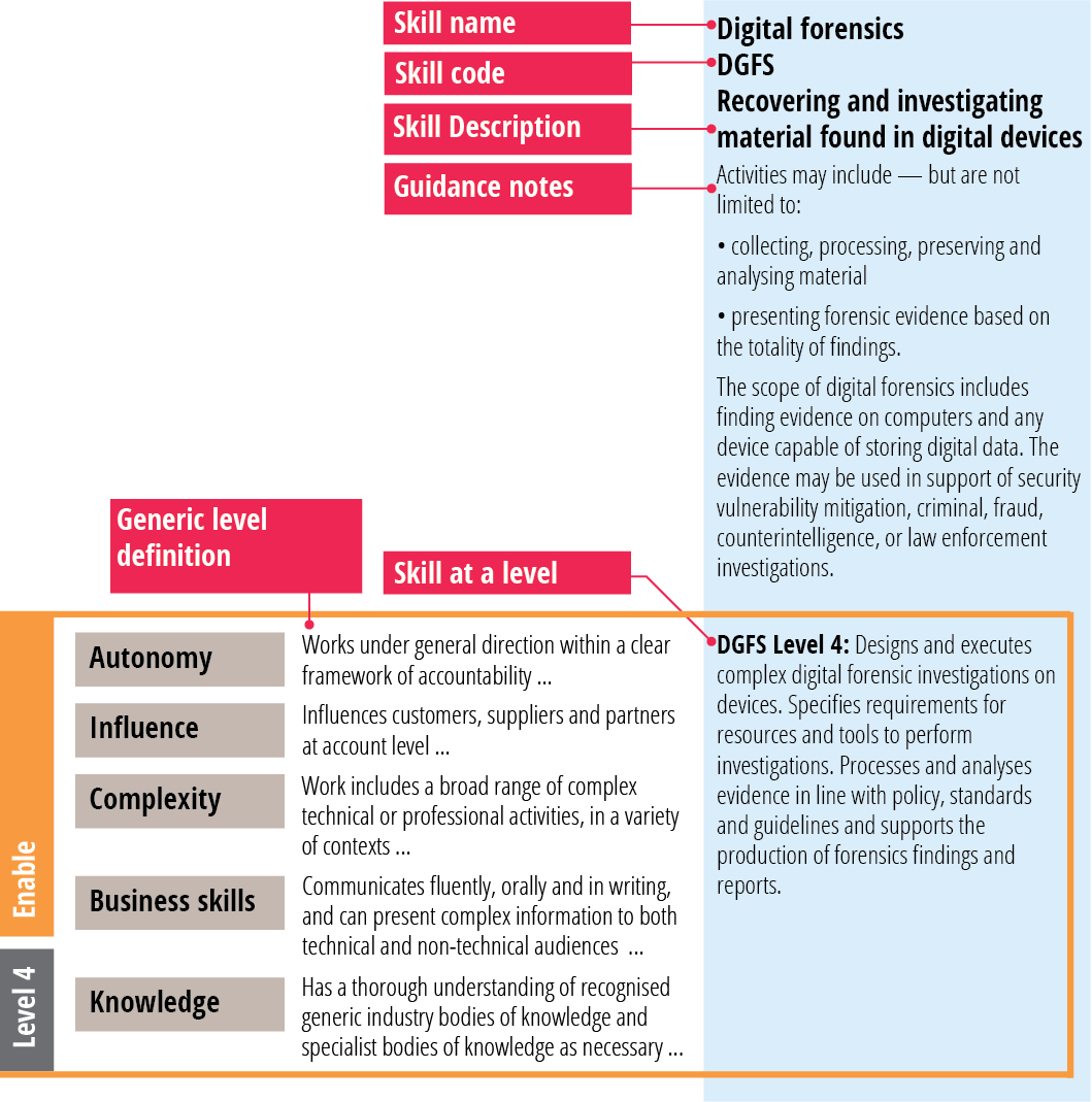 SFIA skill example DGFS