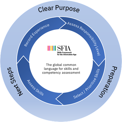 SFIA self assessment wheel.png