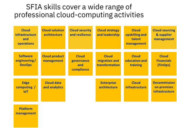 SFIA skills cover a wide range of professional cloud-computing activities