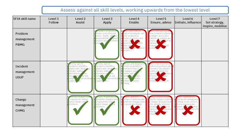 assignment 3 job application and sfia self assessment