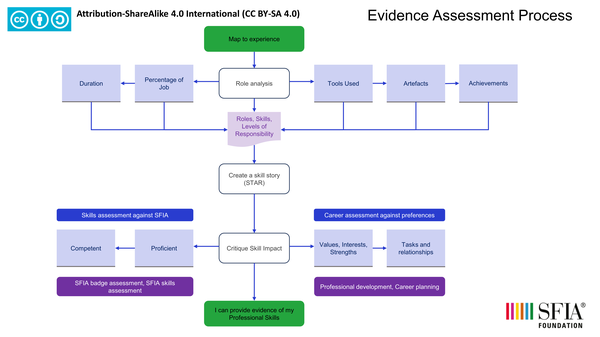 3-3 Evidence assessment process