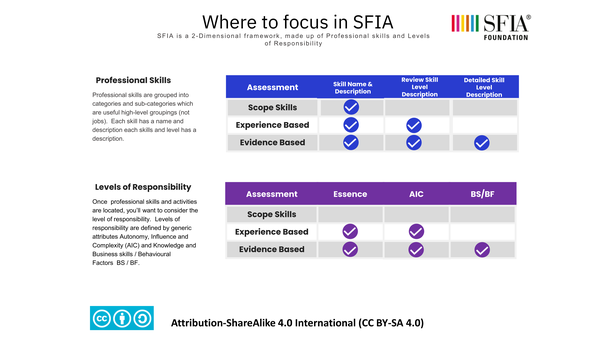 Where to Focus in SFIA