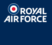 RAF Cyberspace Profession webinar