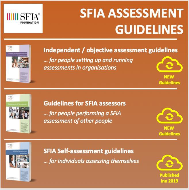 SFIA Skills Assessment - February 2020 — English