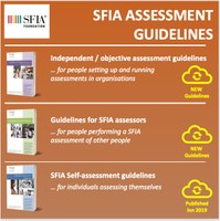 SFIA Skills Assessment - February 2020