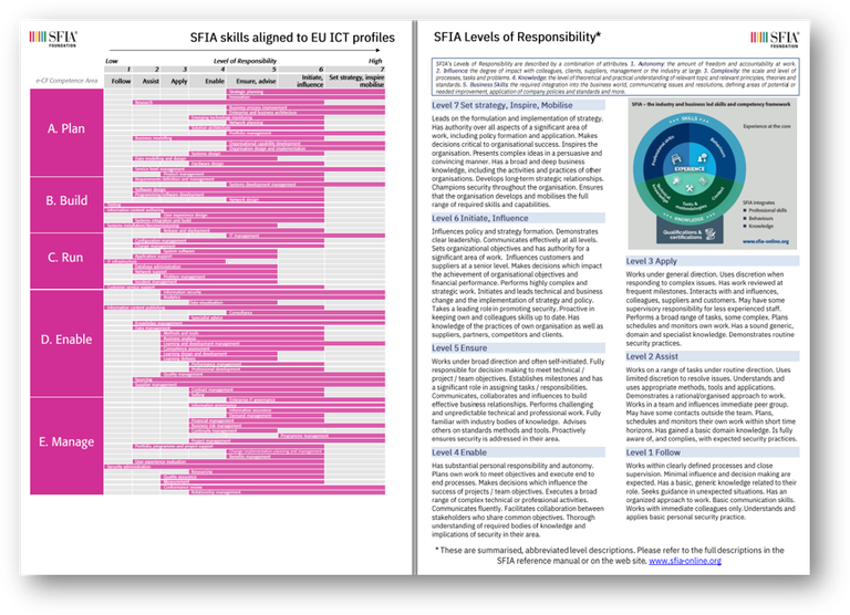EU ICT roles view 2 page.PNG