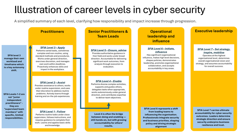 Illustration of career levels in the cyber security domain Image displaying an Illustration of career levels in the cyber security domain