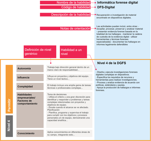 Diagram of SFIA skill example Digital forensics