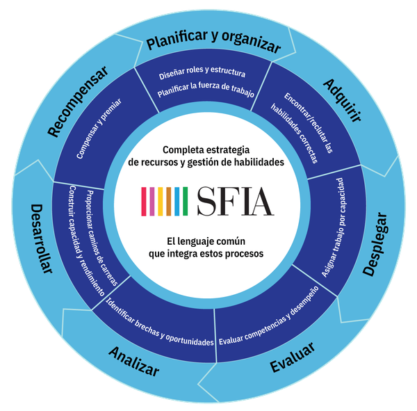 SFIA Process Wheel