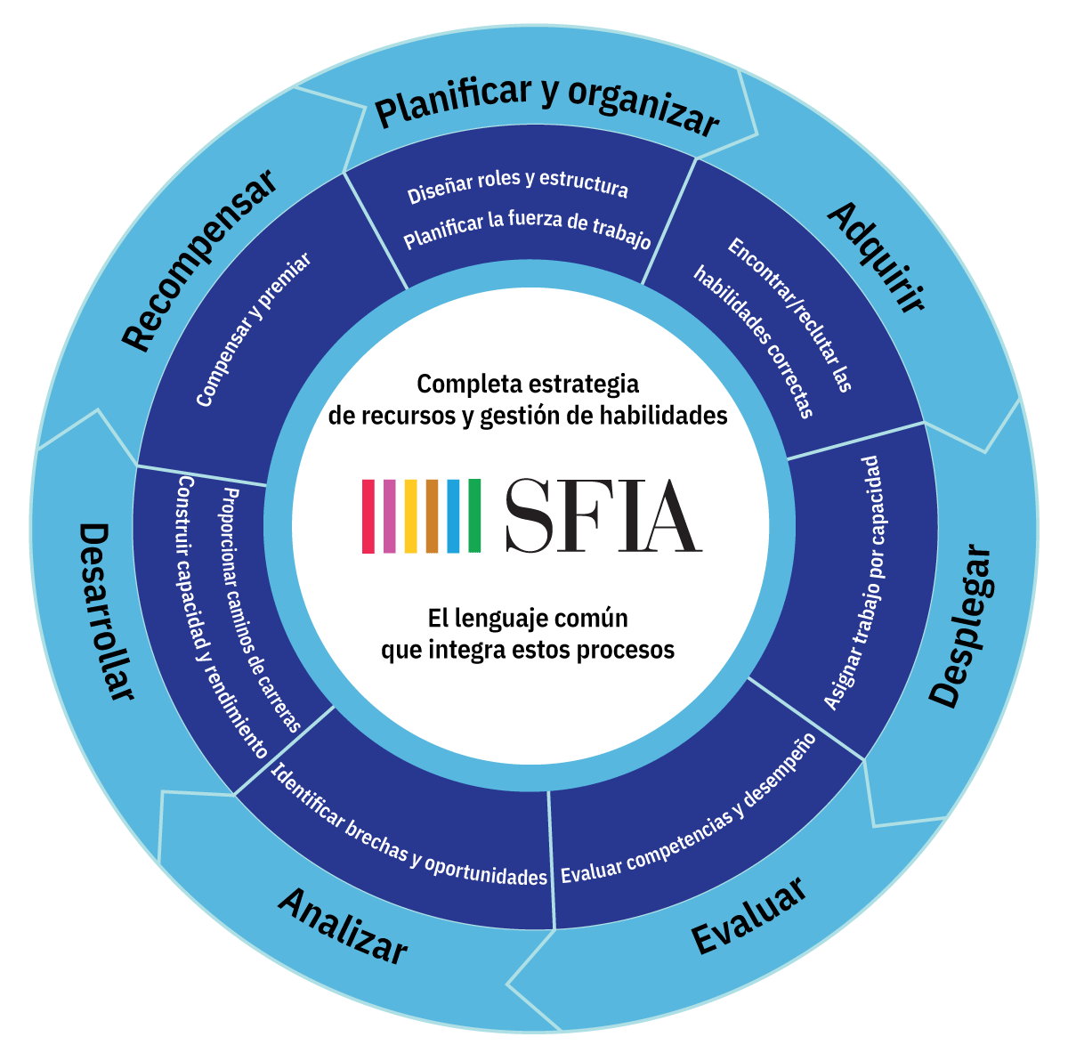 SFIA Process Wheel