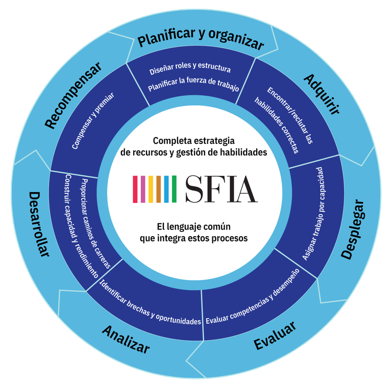SFIA-Process-Wheel-04.es.png