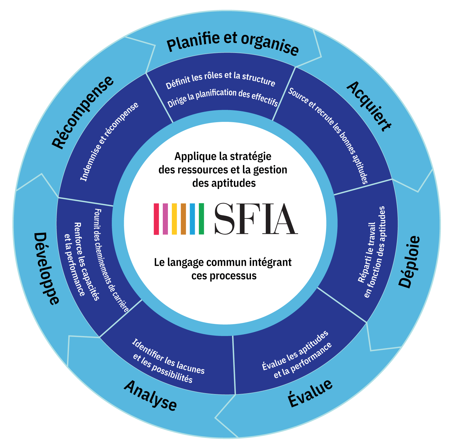 SFIA Process Wheel