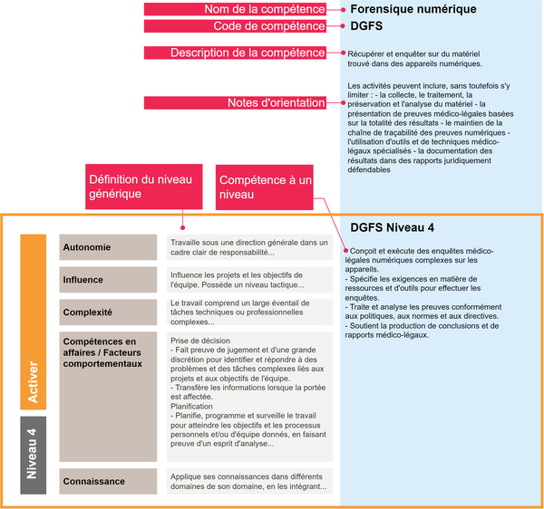 Diagram of SFIA skill example Digital forensics