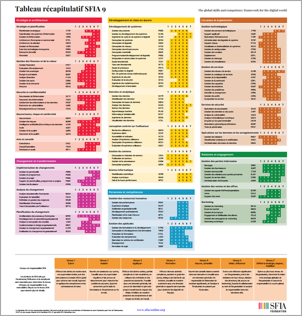 Image of the SFIA 9 summary chart