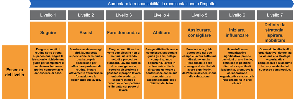 Diagram of essence statements for levels of responsibility