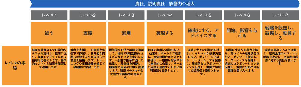 Diagram of essence statements for levels of responsibility