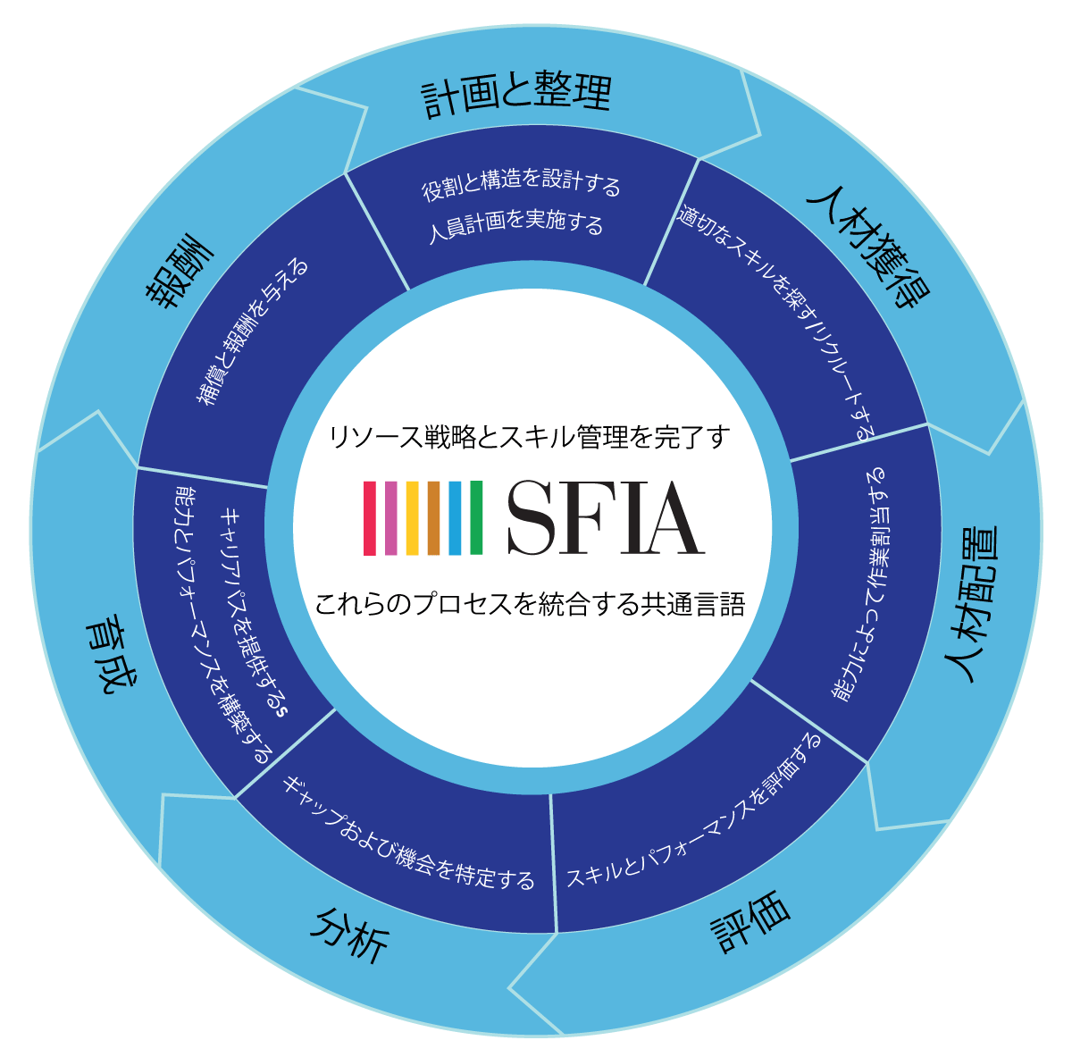 SFIA Process Wheel