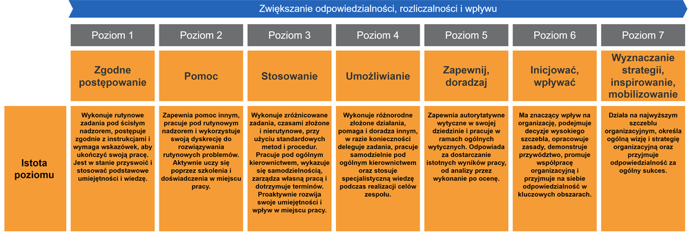 Diagram of essence statements for levels of responsibility