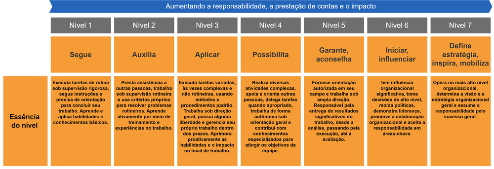 Diagram of essence statements for levels of responsibility