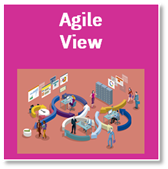 agile view thumb.png