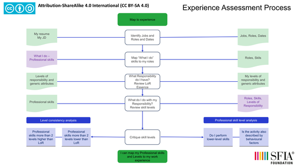 Experience assessment process