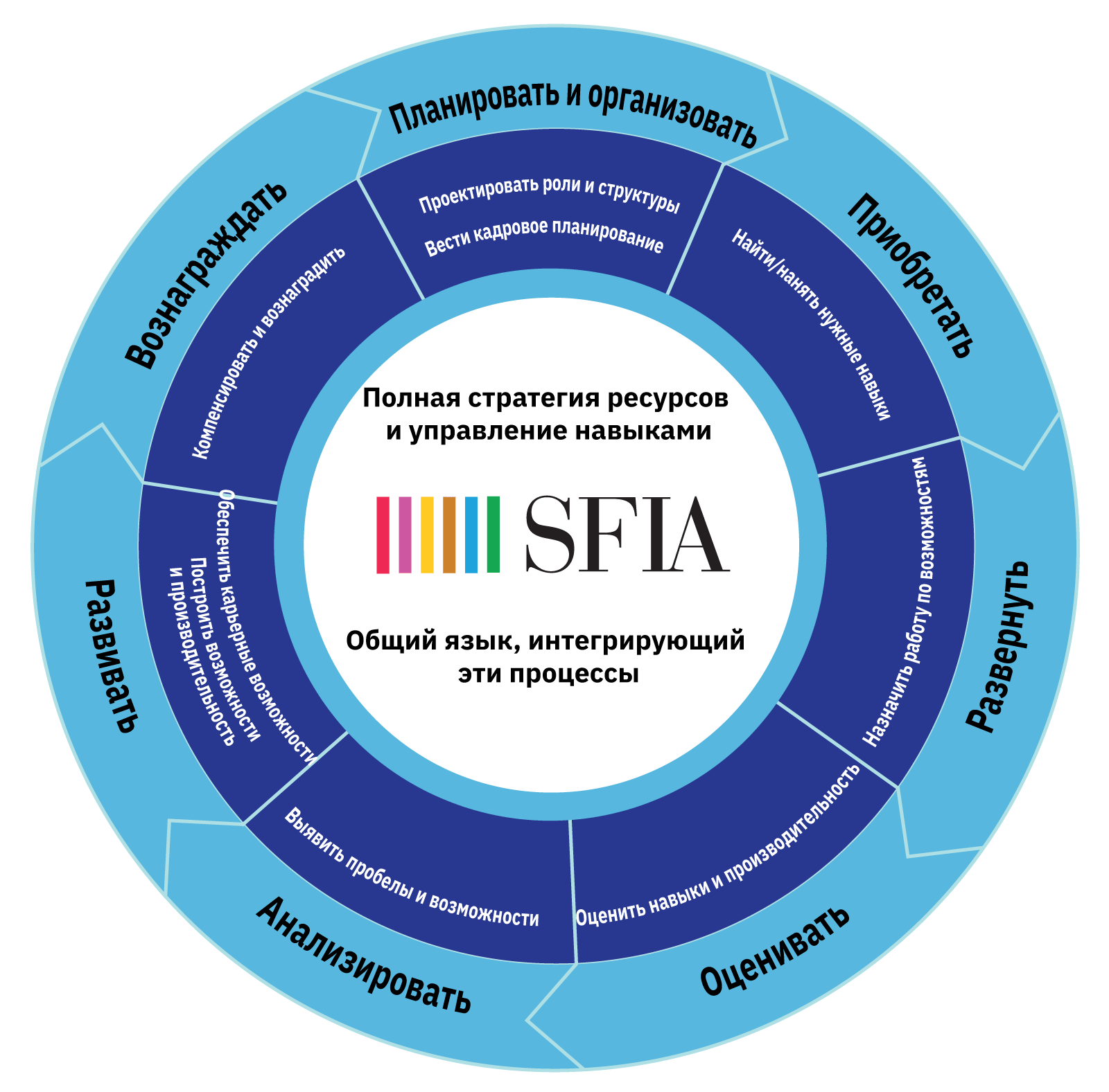 SFIA Process Wheel