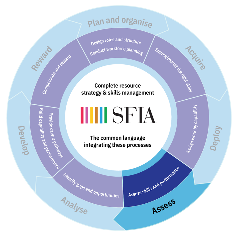 SFIA-Process-Wheel-assess.png