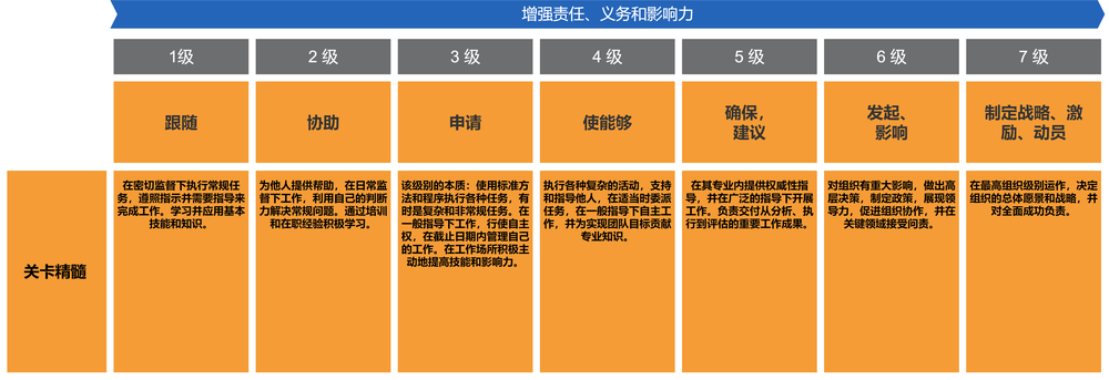 Diagram of essence statements for levels of responsibility