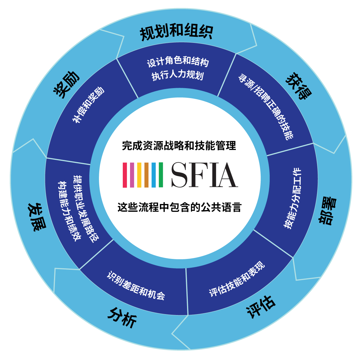 SFIA Process Wheel