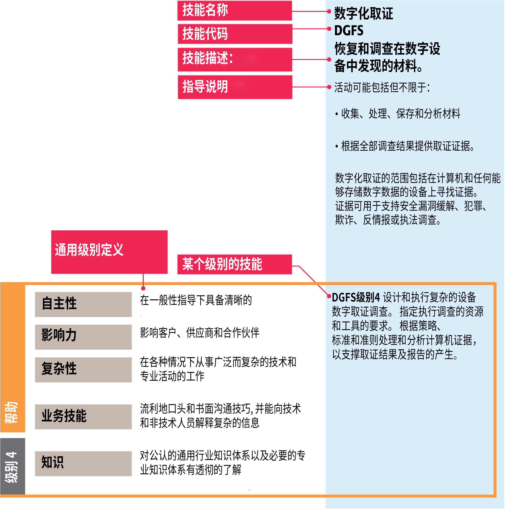 SFIA skill example DGFS